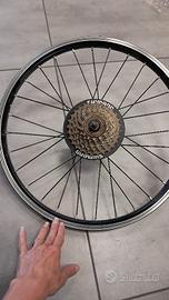 Ruota posteriore bici 20" Shimano 6 velocità