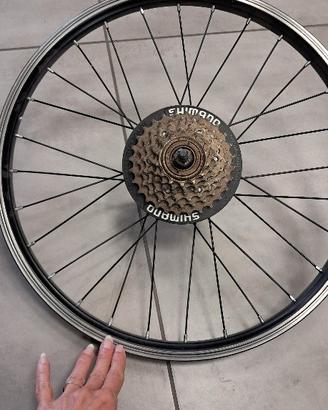 Ruota posteriore bici 20" Shimano 6 velocità