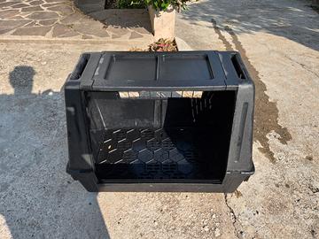 Kennel medio grande