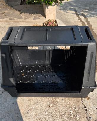 Kennel medio grande