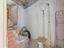 Immagine 22