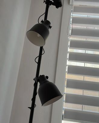 Piantana