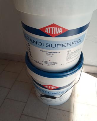 pittura x interni 