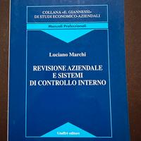 REVISIONE AZIENDALE E SISTEMI DI CONTROLLO INTERNO