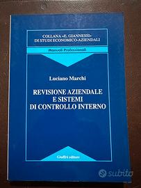 REVISIONE AZIENDALE E SISTEMI DI CONTROLLO INTERNO