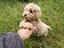 Immagine 3