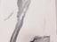 Immagine 24
