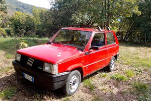 panda rossa