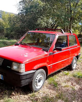 panda rossa