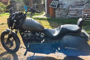 Street bob 107