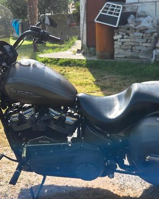 Street bob 107