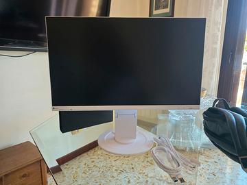 Monitor eizo 24 pollici flex 16/9