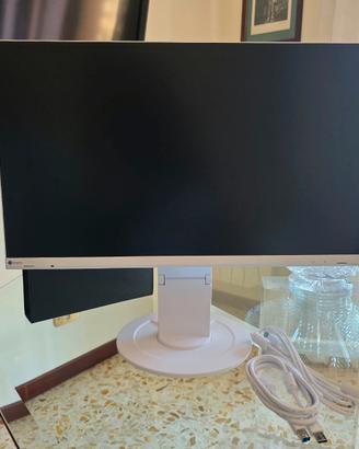 Monitor eizo 24 pollici flex 16/9