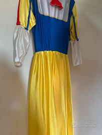 Vestito carnevale