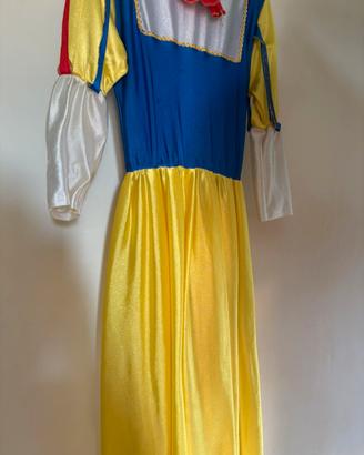 Vestito carnevale