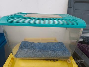 acquario plastica vaschetta nusbury 