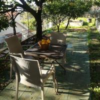 Monolocale immerso nel verde a Maratea