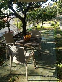 Monolocale immerso nel verde a Maratea