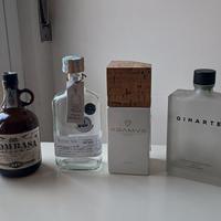 Bottiglie Gin per uso creativo o da collezione