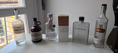Bottiglie Gin per uso creativo o da collezione