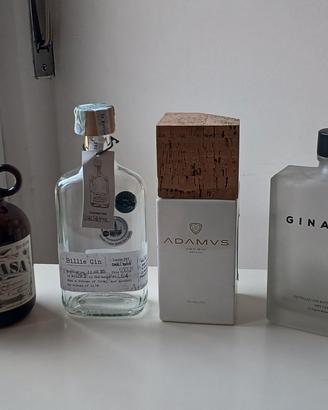 Bottiglie Gin per uso creativo o da collezione