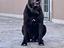 Immagine 1