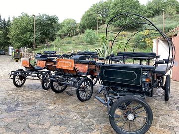 Carrozze stile wagonette 6, 8 e 12 posti PREZ.TRAT