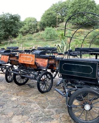 Carrozze stile wagonette 6, 8 e 12 posti PREZ.TRAT