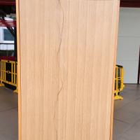 Mobile letto a scomparsa a ribalta single 