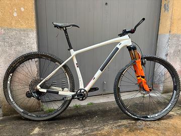bici mtb in carbonio