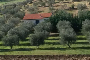Villetta di campagna con terreno d'ulivi