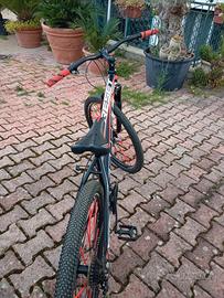 bici Reset Derek 200 € trattabili