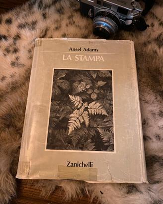 La stampa ansel adams