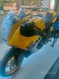 Yamaha XSR 900 GP anniversario