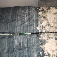 canna bolognese olympus