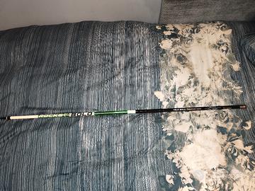 canna bolognese olympus