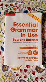 Essential grammar in use