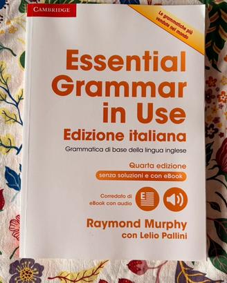 Essential grammar in use