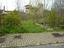 Immagine 9