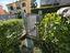 Immagine 18