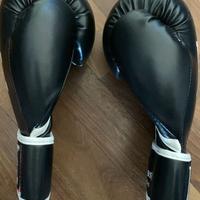 Guantoni Box Leone 10 Oz