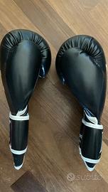 Guantoni Box Leone 10 Oz