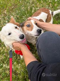 Una famiglia speciale per Lerry e Marlena