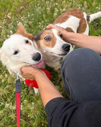 Una famiglia speciale per Lerry e Marlena