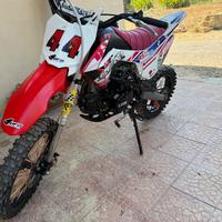 Pit Bike Motocross  LEM RF 17/14  125 cc