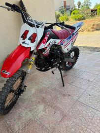 Pit Bike Motocross  LEM RF 17/14  125 cc
