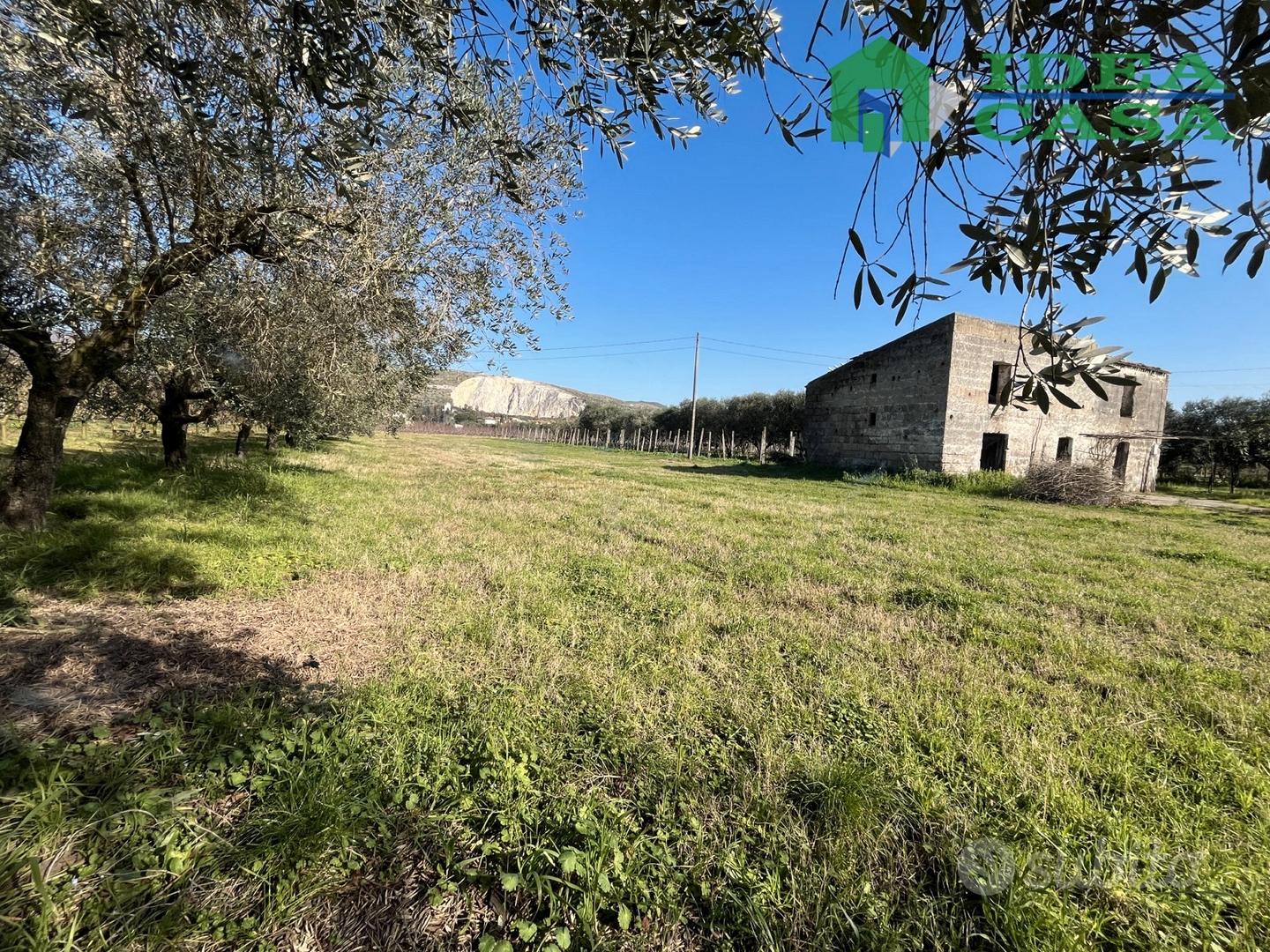 Vitulazio-Rudere con Terreno - Vista 5