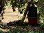 Immagine 14