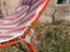 Immagine 4