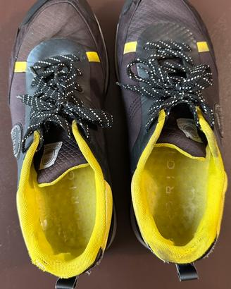 Scarpe colmar originale